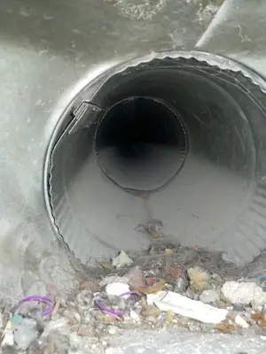 Debris and lint pulled from a clogged vent